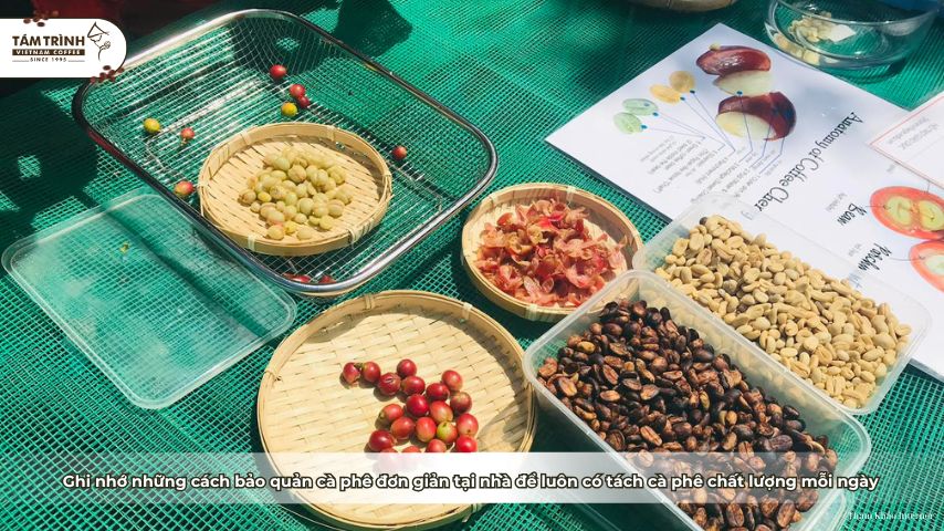 Ghi nhớ những cách bảo quản cà phê đơn giản tại nhà để luôn có tách cà phê chất lượng mỗi ngày