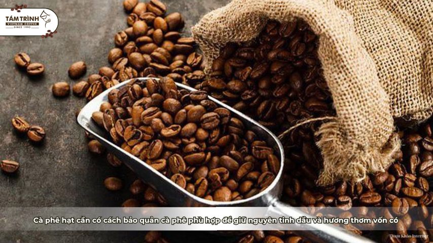 Cà phê hạt cần có cách bảo quản cà phê phù hợp để giữ nguyên tinh dầu và hương thơm vốn có