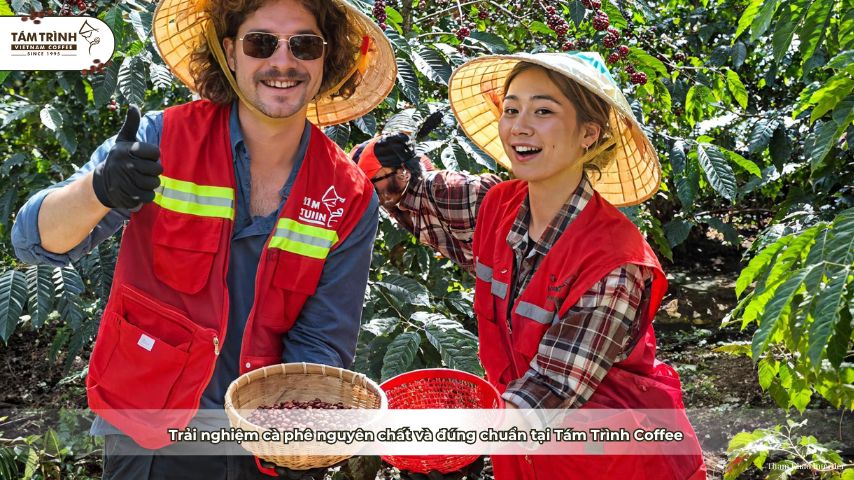 Trải nghiệm cà phê nguyên chất và đúng chuẩn tại Tám Trình Coffee