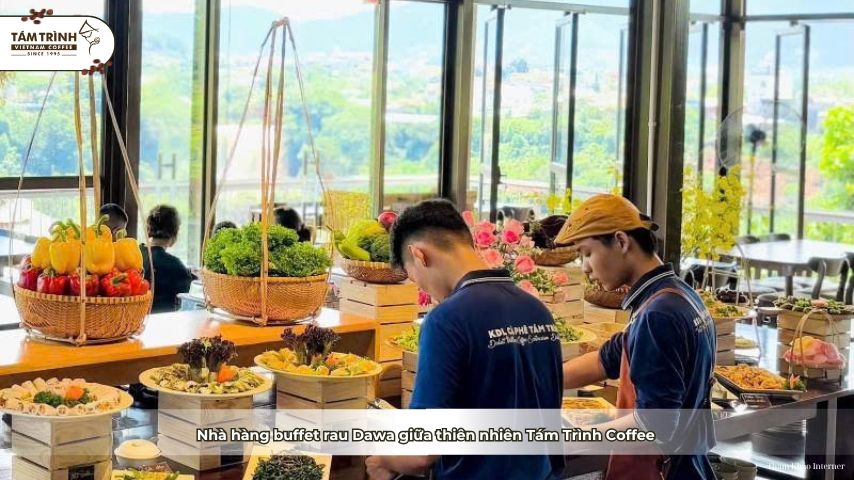 Nhà hàng buffet rau Dawa giữa thiên nhiên Tám Trình Coffee