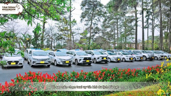 Vì sao nên chọn taxi uy tín khi du lịch Đà Lạt?