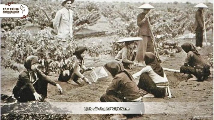 Lịch Sử Cà Phê Việt Nam