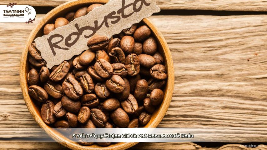 cà phê robusta xuất khẩu