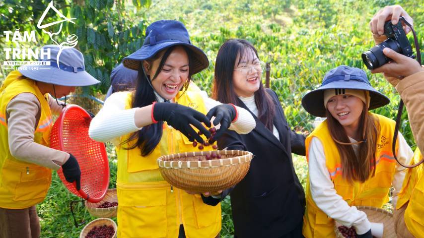 Tour Trải Nghiệm Coffee