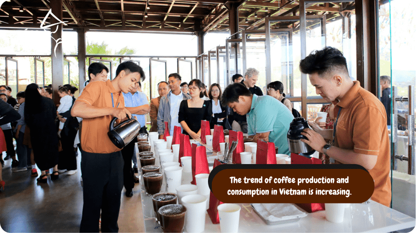 The trend of coffee production and consumption in VietNam is increasing
