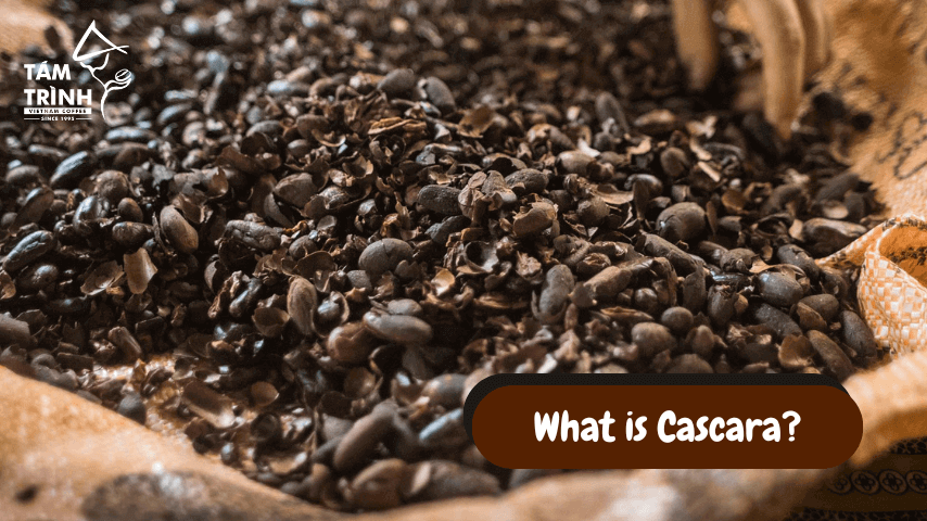 What is cascara?