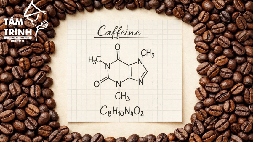 Cafein là gì