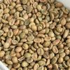 Cà phê robusta natural 98
