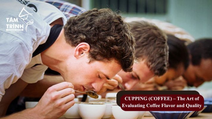 CUPPING COFFEE – The Art of Evaluating Coffee Flavor and Quality