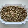 Cà Phê Robusta Natural