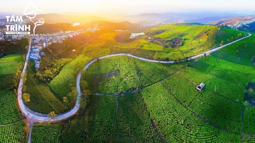 Lịch Trình 3N2Đ Đà Lạt