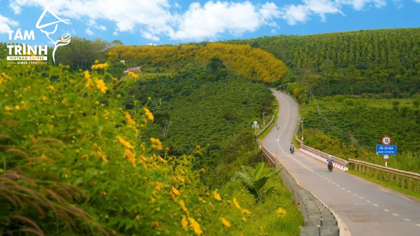 Cung Đường Đẹp Nhất Đà Lạt