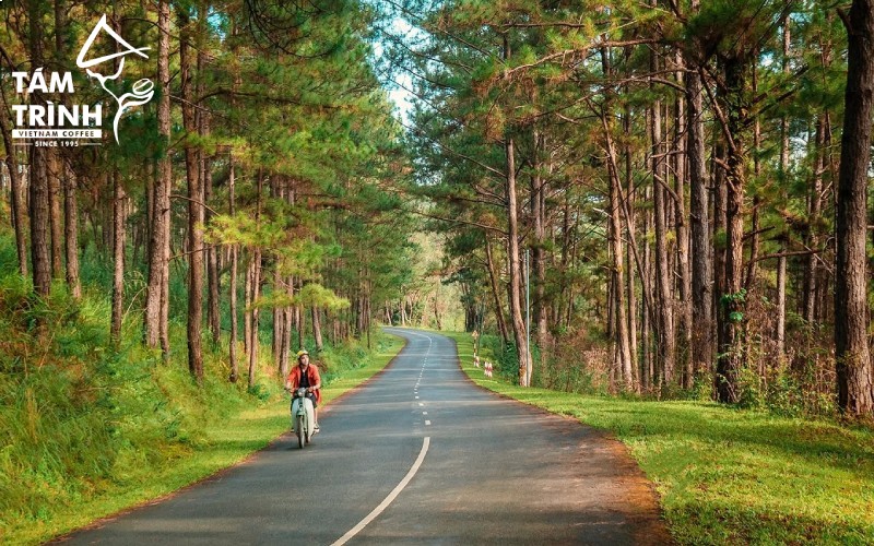 Đà Lạt Là Điểm Tránh Nóng Lý Tưởng Mùa Hè