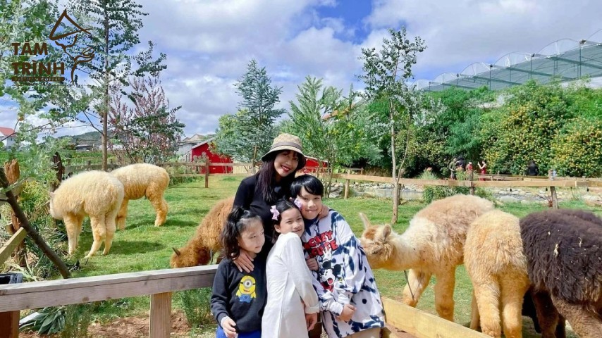 Du Lịch Đà Lạt Cho Gia Đình Có Trẻ Nhỏ