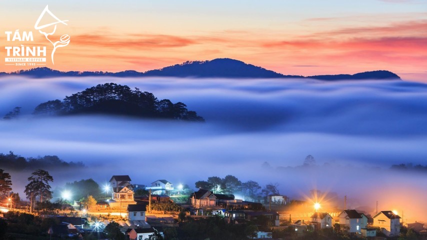 Địa Điểm Check-in Đà Lạt Mùa Hè