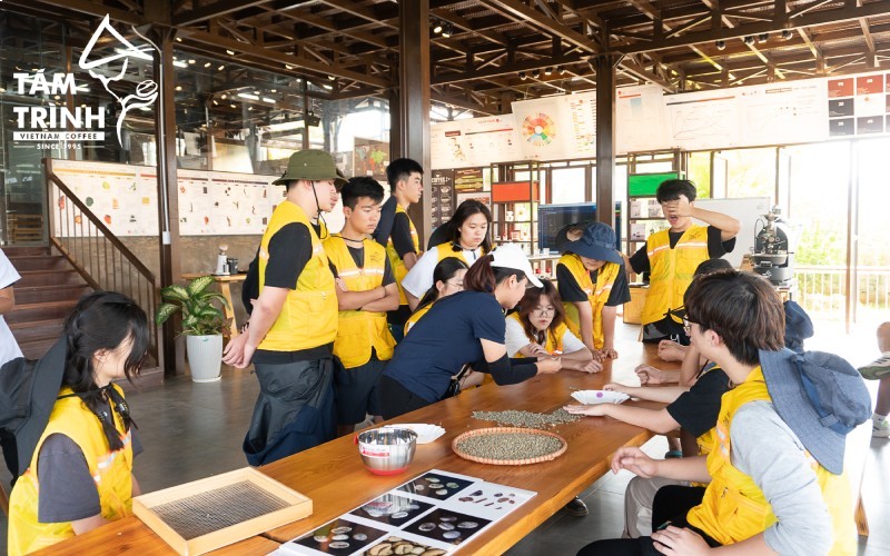 Phù hợp cho những nhóm học sinh, sinh viên