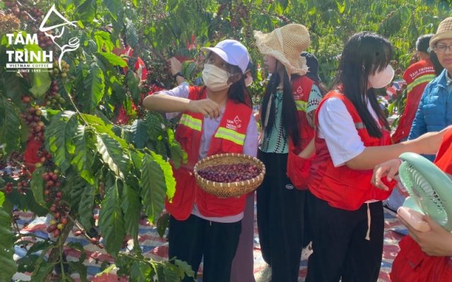 Coffee Tour for Students